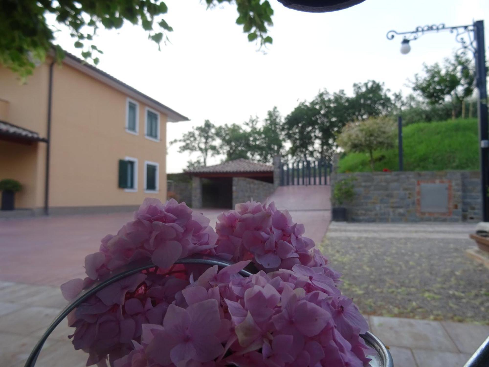 Val&Sol Apartments Secovlje Luaran gambar